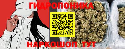 мяу мяу кристалл Аша