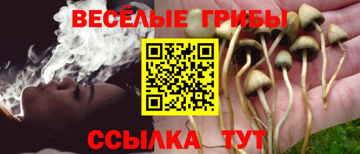 Белебей  Галлюциногенные грибы Psilocybine cubensis  закладки  Вход с VPN 